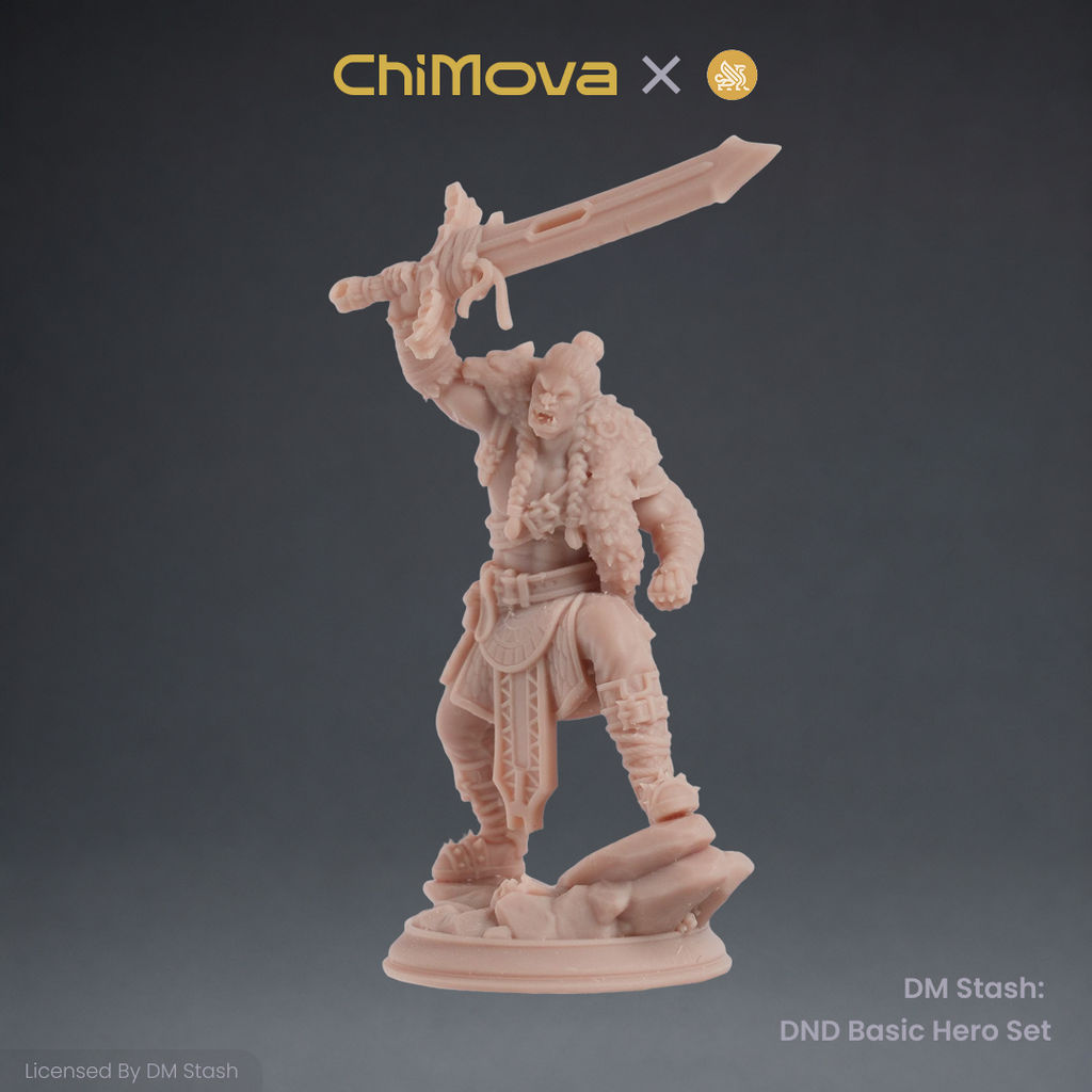DM Stash: DND Basic Hero Set 01 product image 2