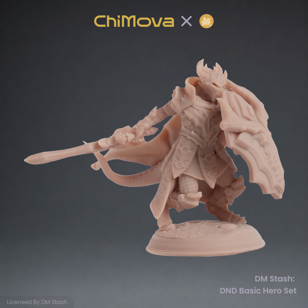 DM Stash: DND Basic Hero Set 02 product image 3