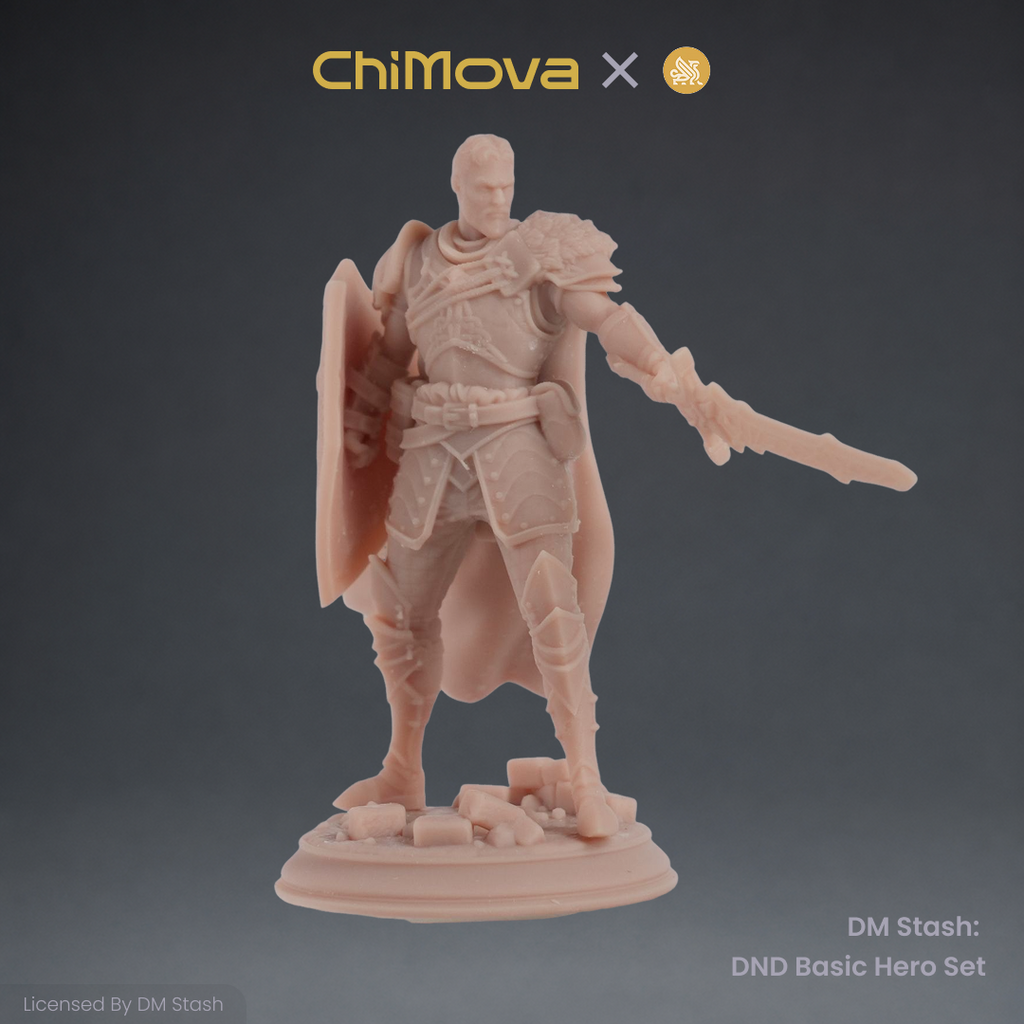 DM Stash: DND Basic Hero Set 04 product image 3