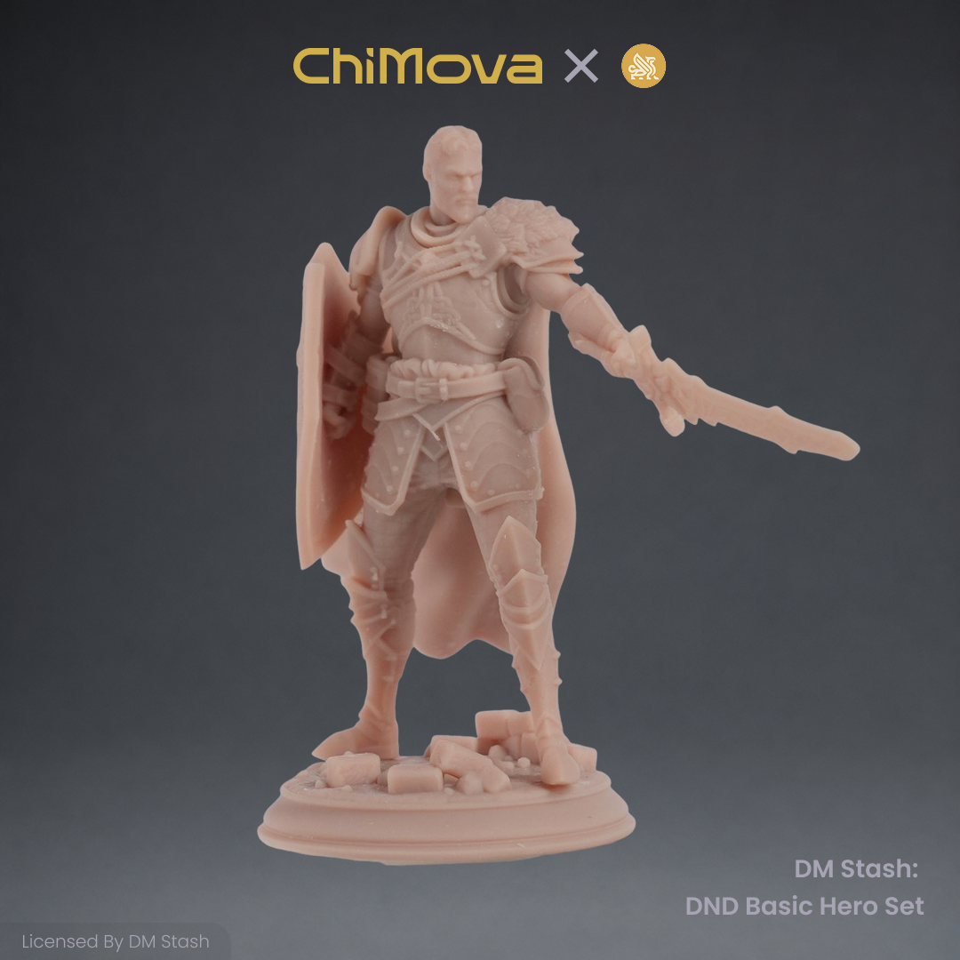 DM Stash: DND Basic Hero Set 04 product image 3