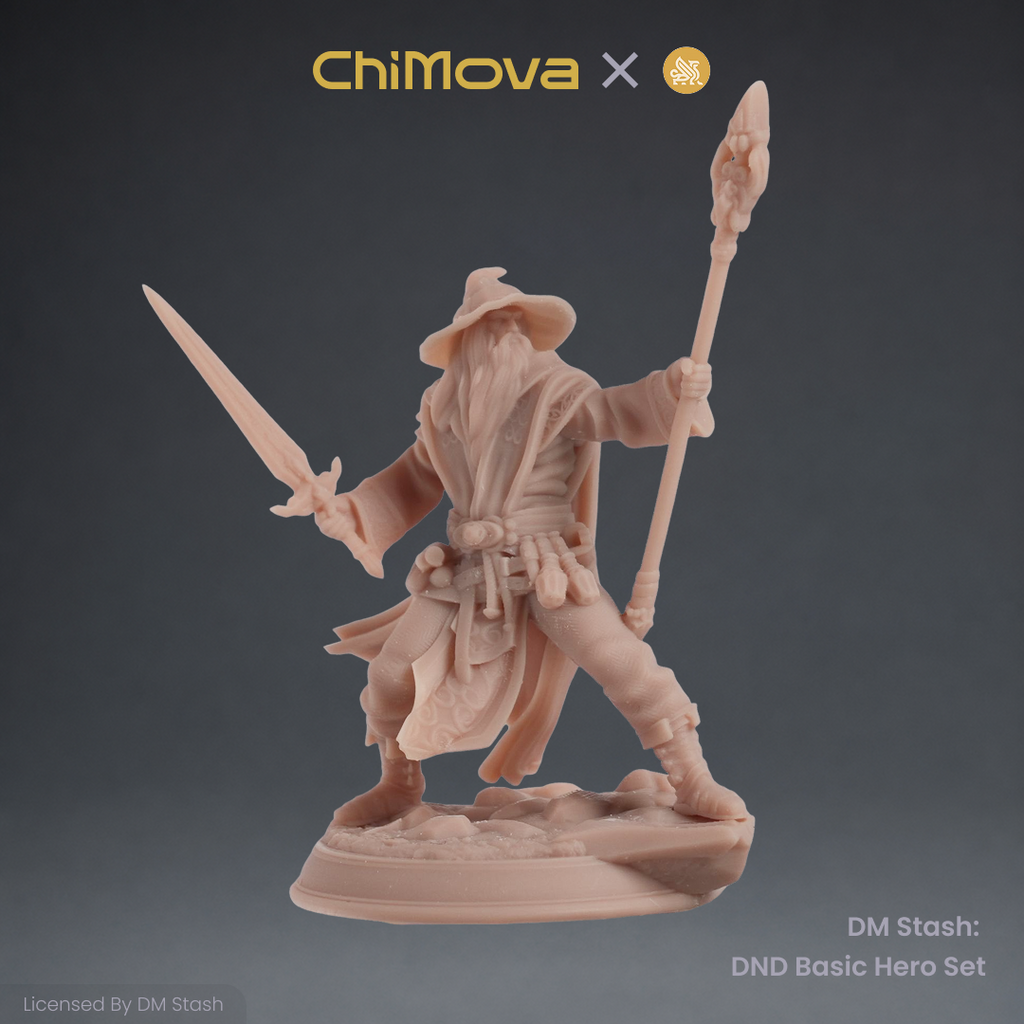 DM Stash: DND Basic Hero Set 01 product image 4