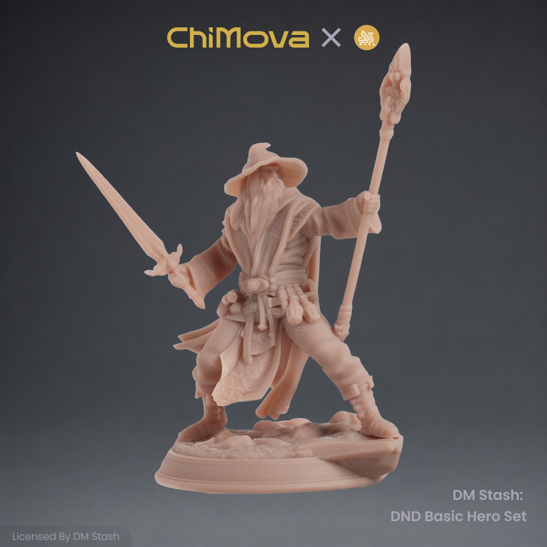 DM Stash: DND Basic Hero Set 01 product image 4