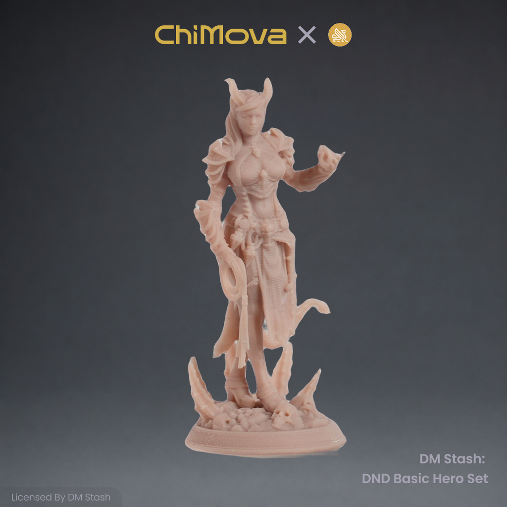 DM Stash: DND Basic Hero Set 03 product image 4