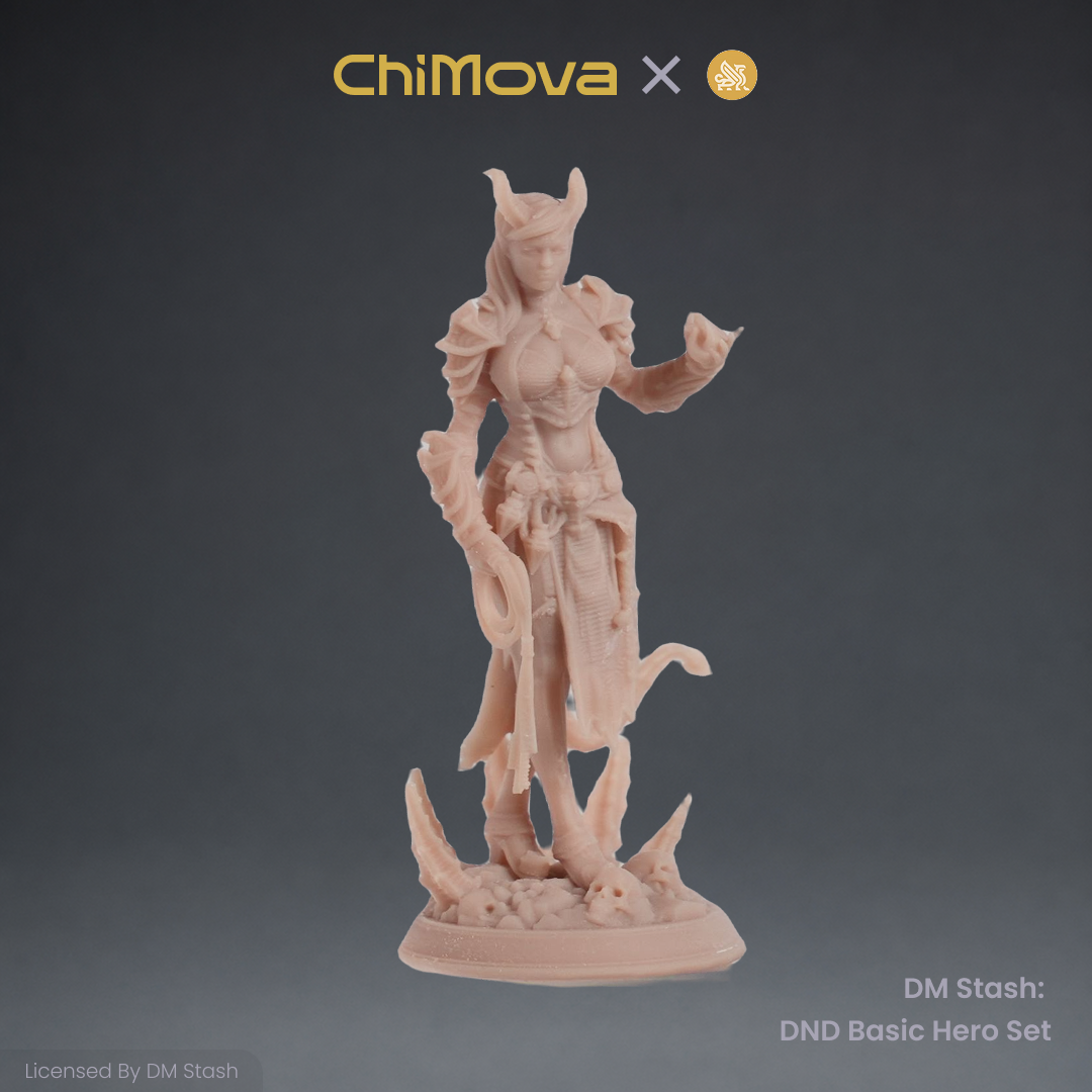 DM Stash: DND Basic Hero Set 03 product image 4
