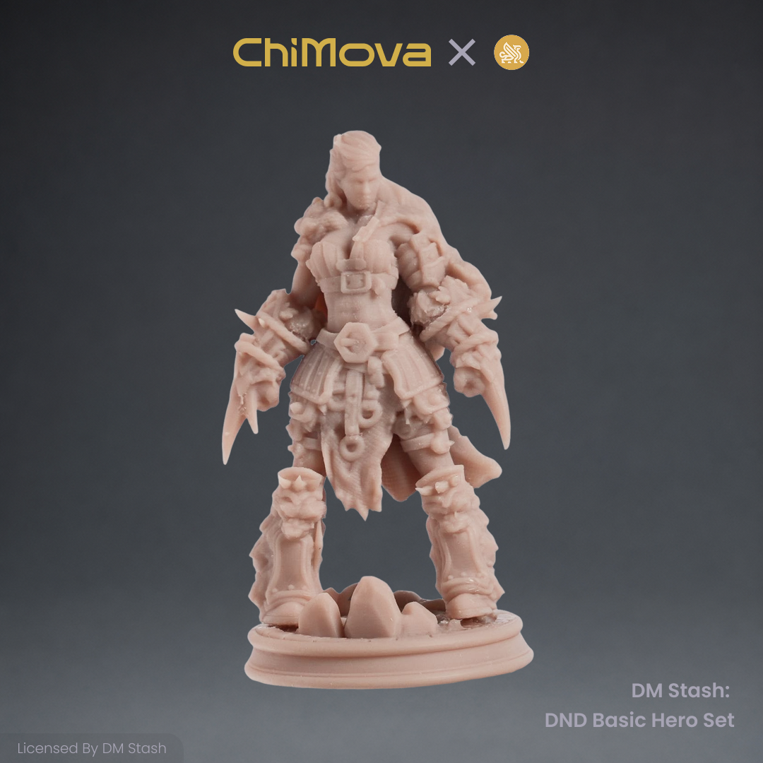 DM Stash: DND Basic Hero Set 04 product image 4