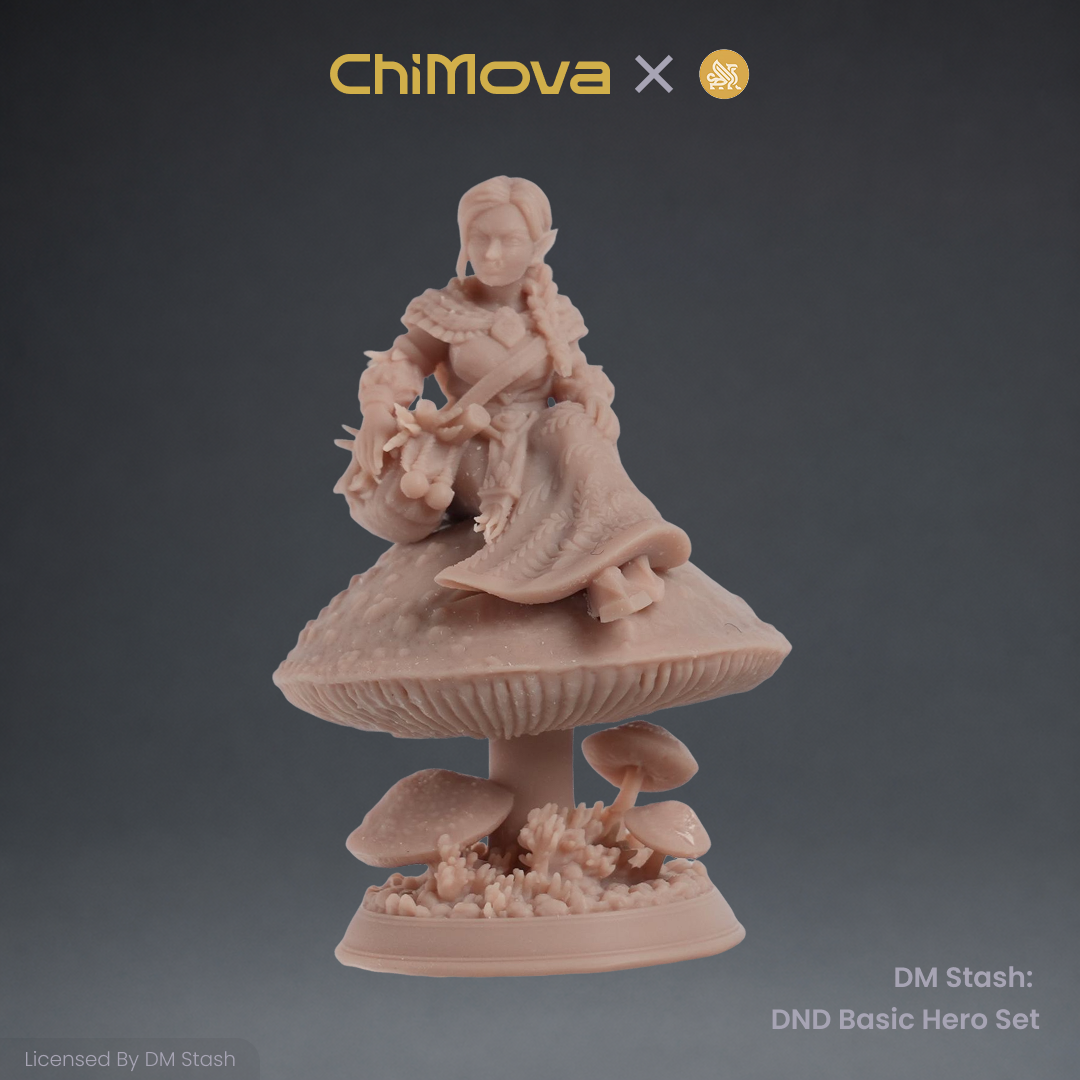 DM Stash: DND Basic Hero Set 02 product image 4