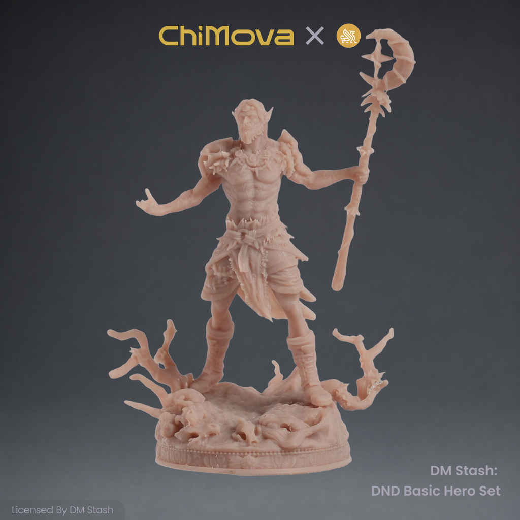 DM Stash: DND Basic Hero Set 01 product image 5