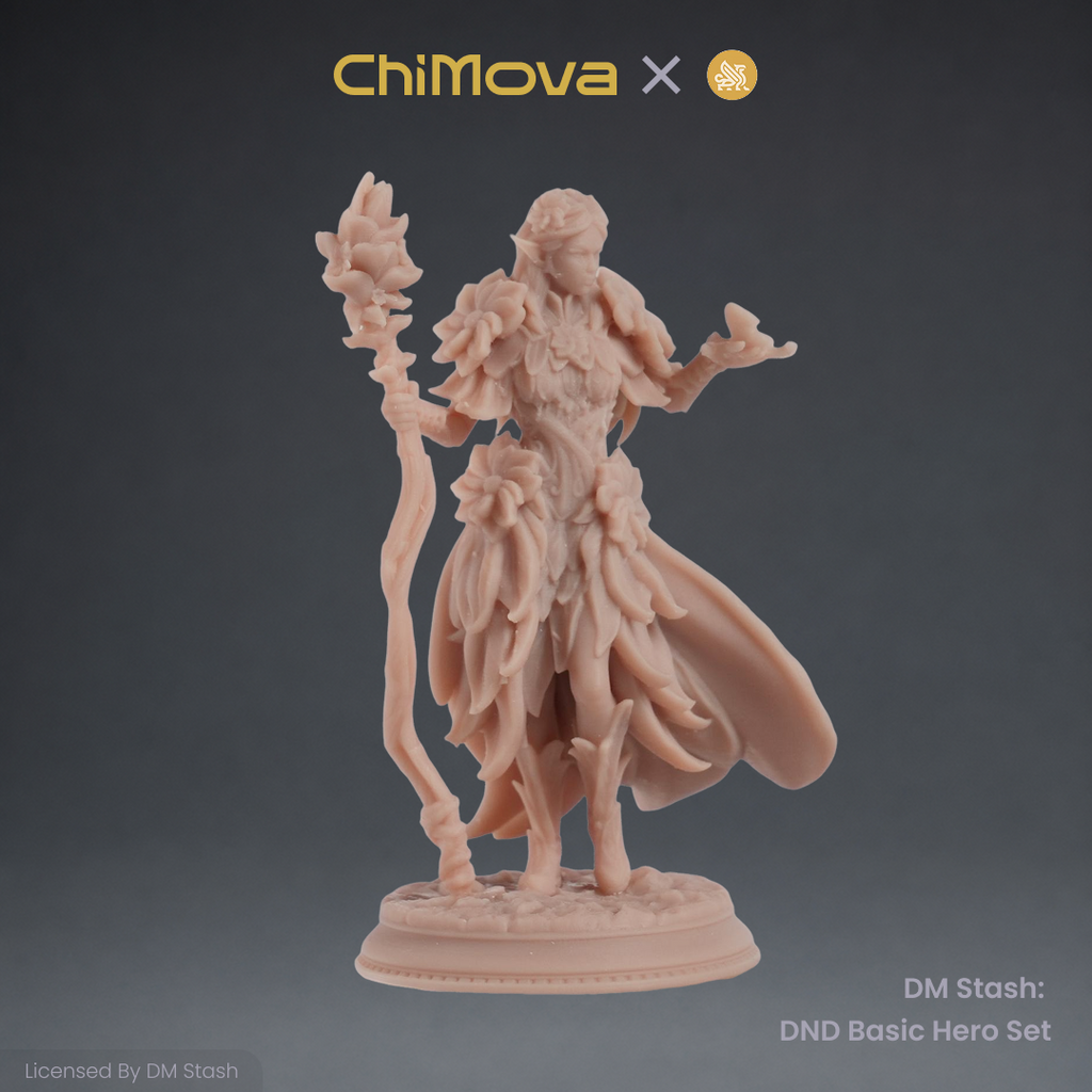 DM Stash: DND Basic Hero Set 03 product image 5