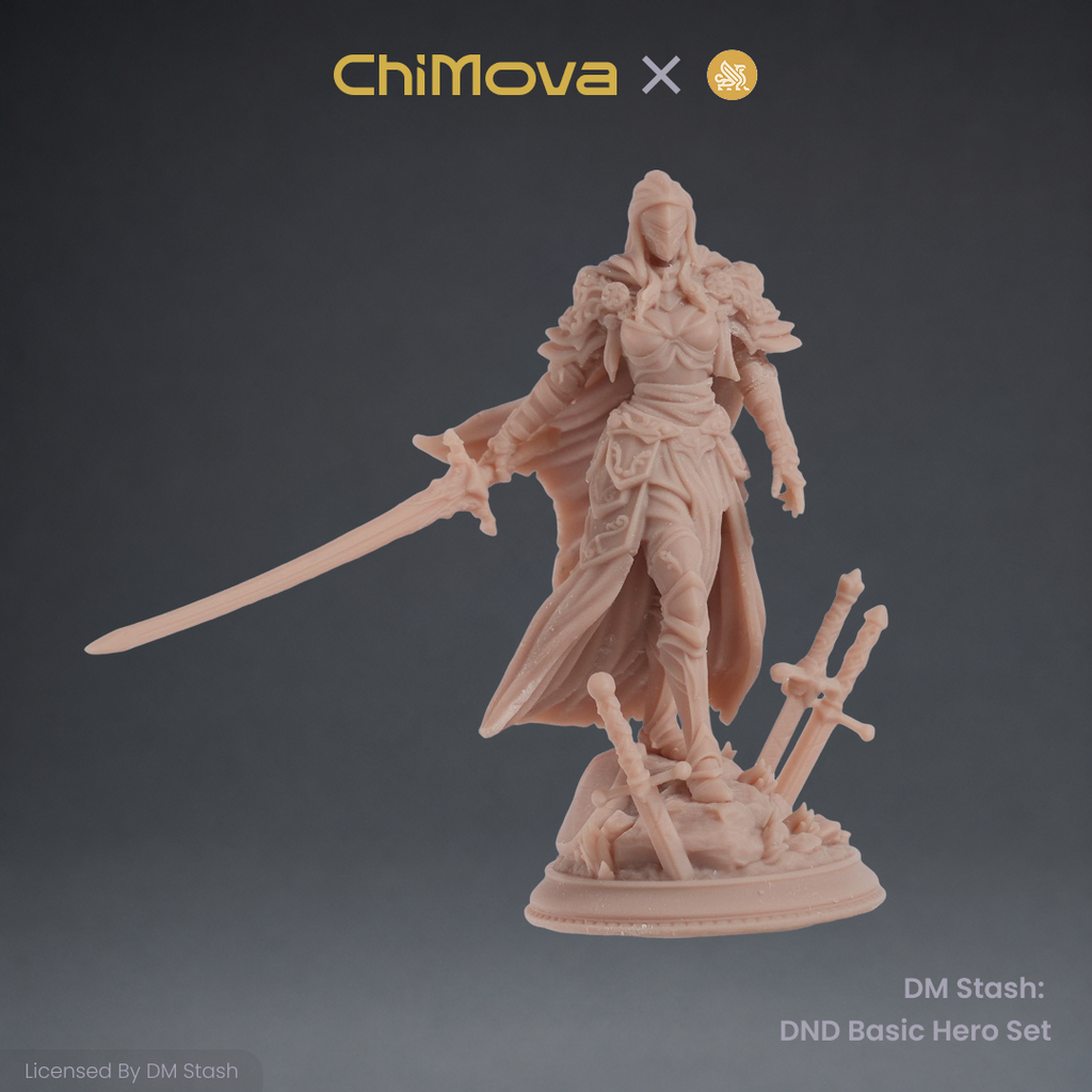 DM Stash: DND Basic Hero Set 02 product image 5