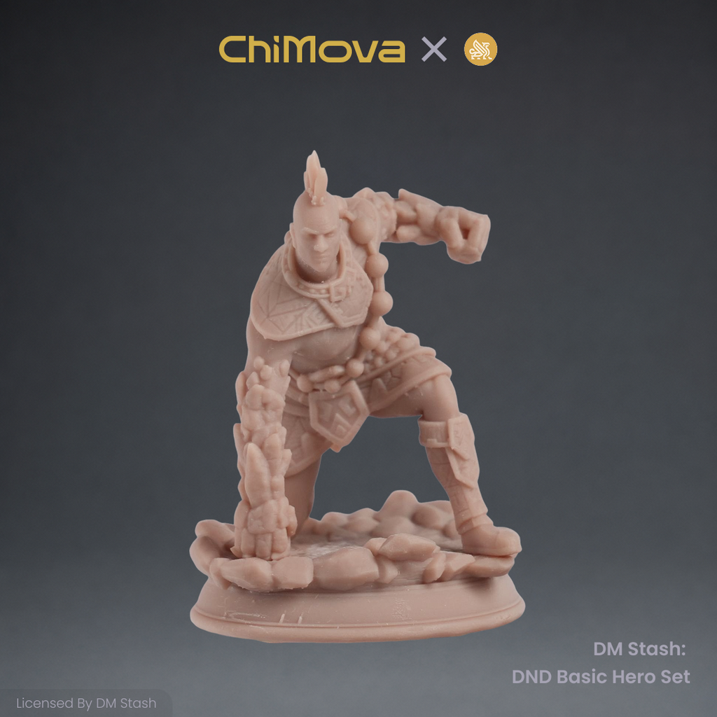 DM Stash: DND Basic Hero Set 04 product image 5