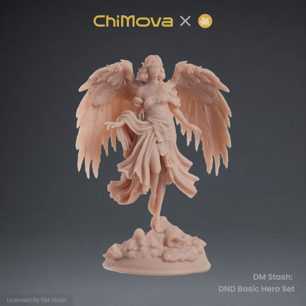 DM Stash: DND Basic Hero Set 01 product image 6