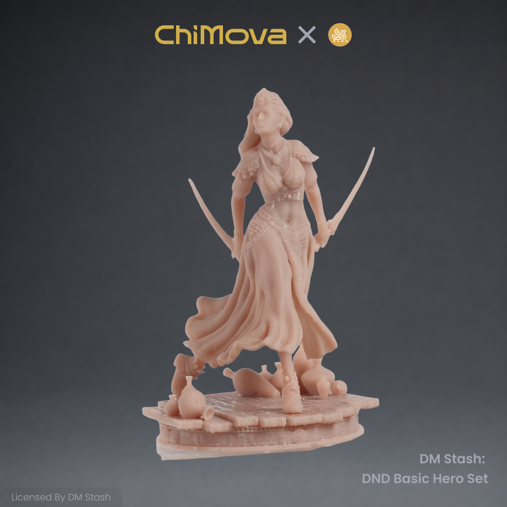 DM Stash: DND Basic Hero Set 02 product image 6