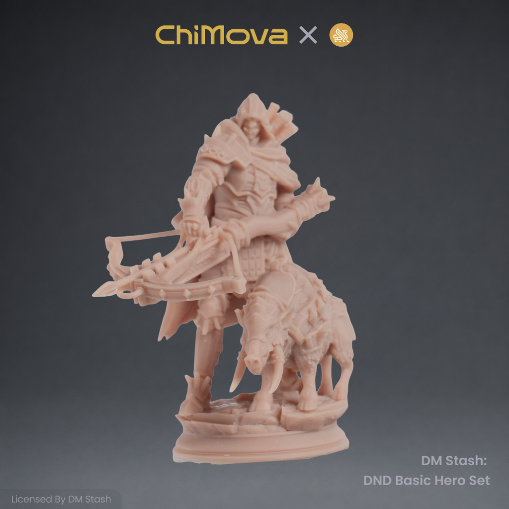 DM Stash: DND Basic Hero Set 03 product image 6
