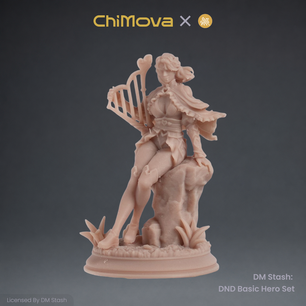 DM Stash: DND Basic Hero Set 04 product image 6