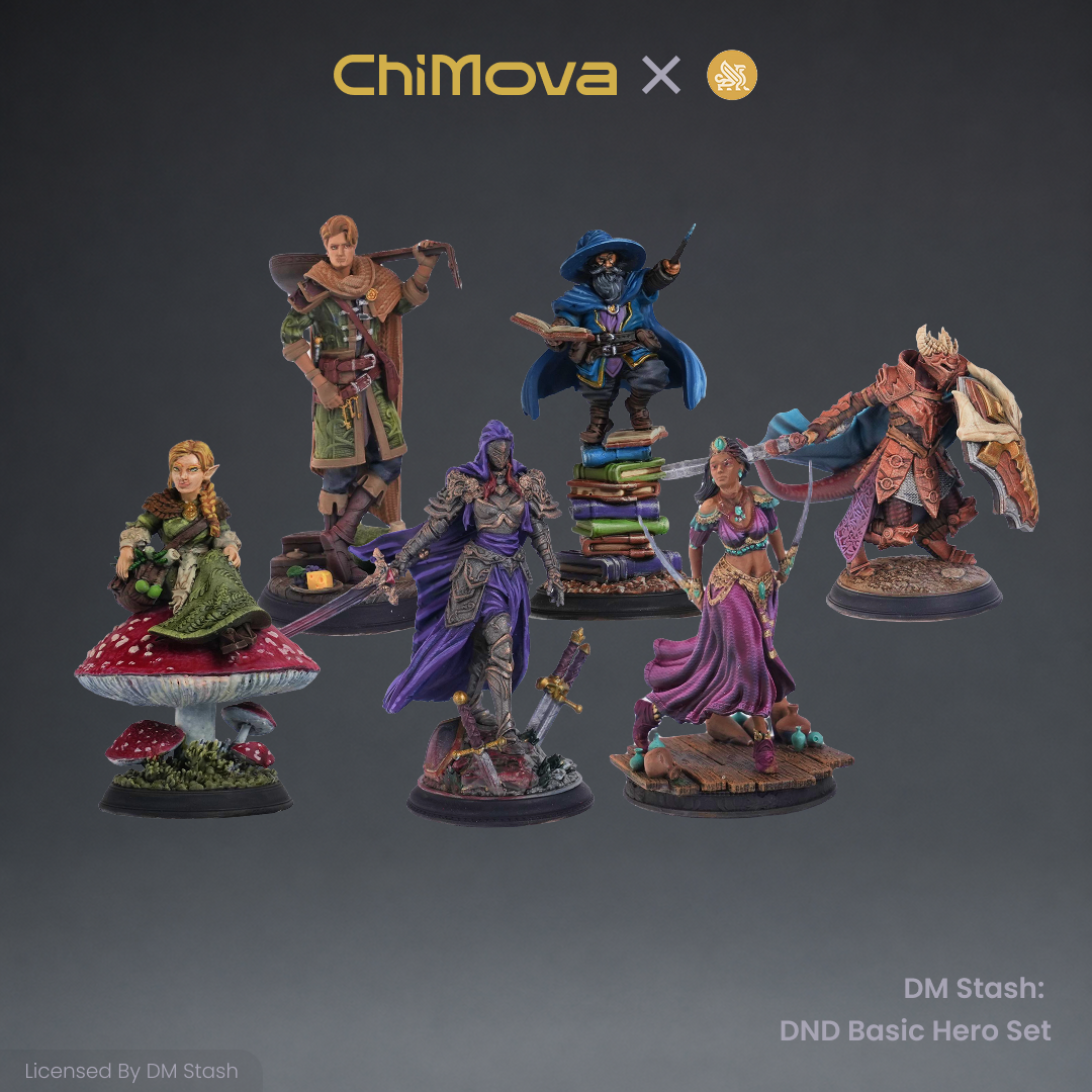 DM Stash: DND Basic Hero Set 02 product image 7