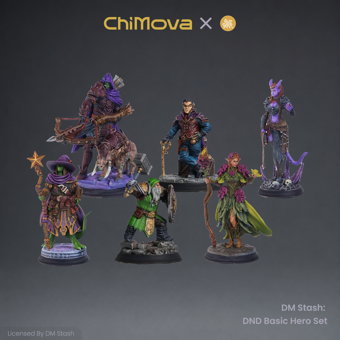 DM Stash: DND Basic Hero Set 03 product image 7