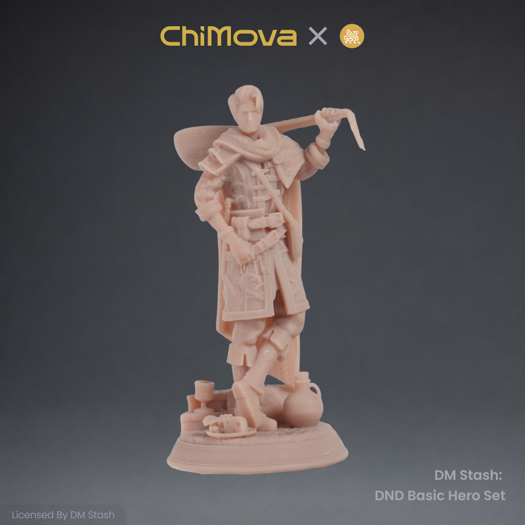 DM Stash: DND Basic Hero Set 02 product image 1