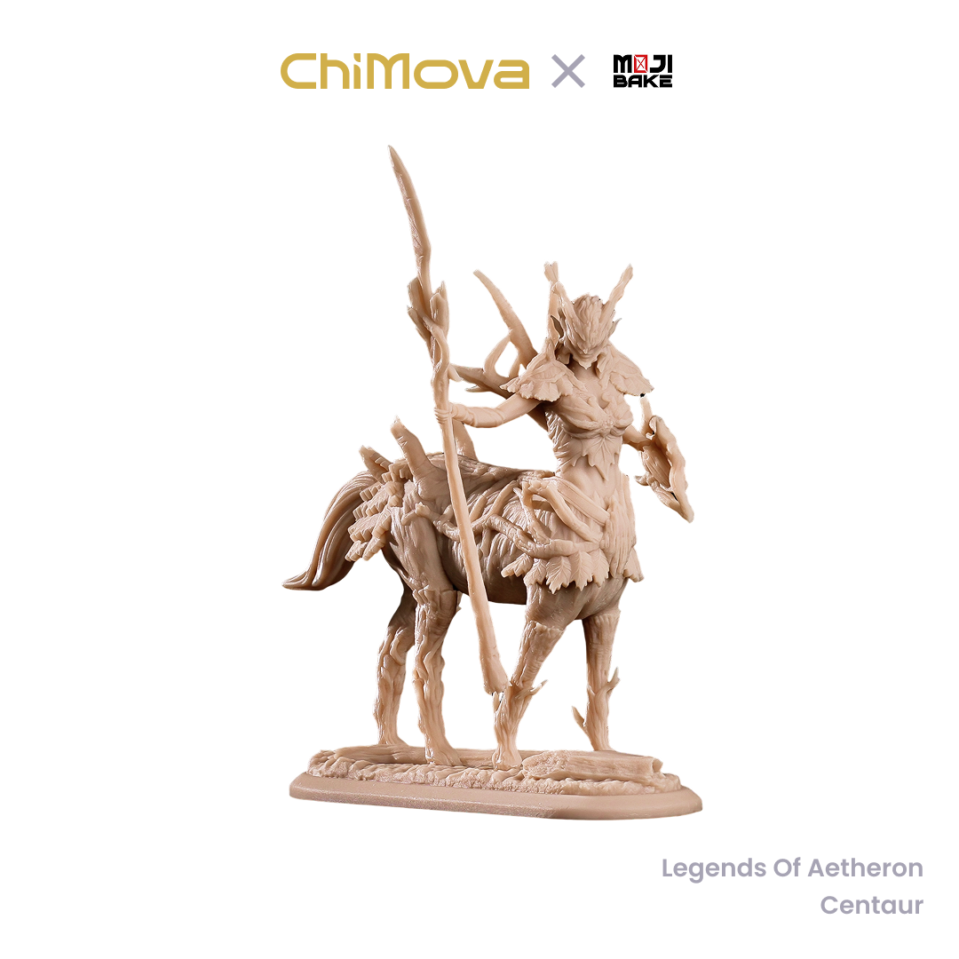 Mojibake Collectibles Legends of Aetheron: Galadren, Marchwarden Queen hand painted 75mm display model for DND tabletop gaming and collectors, view 6