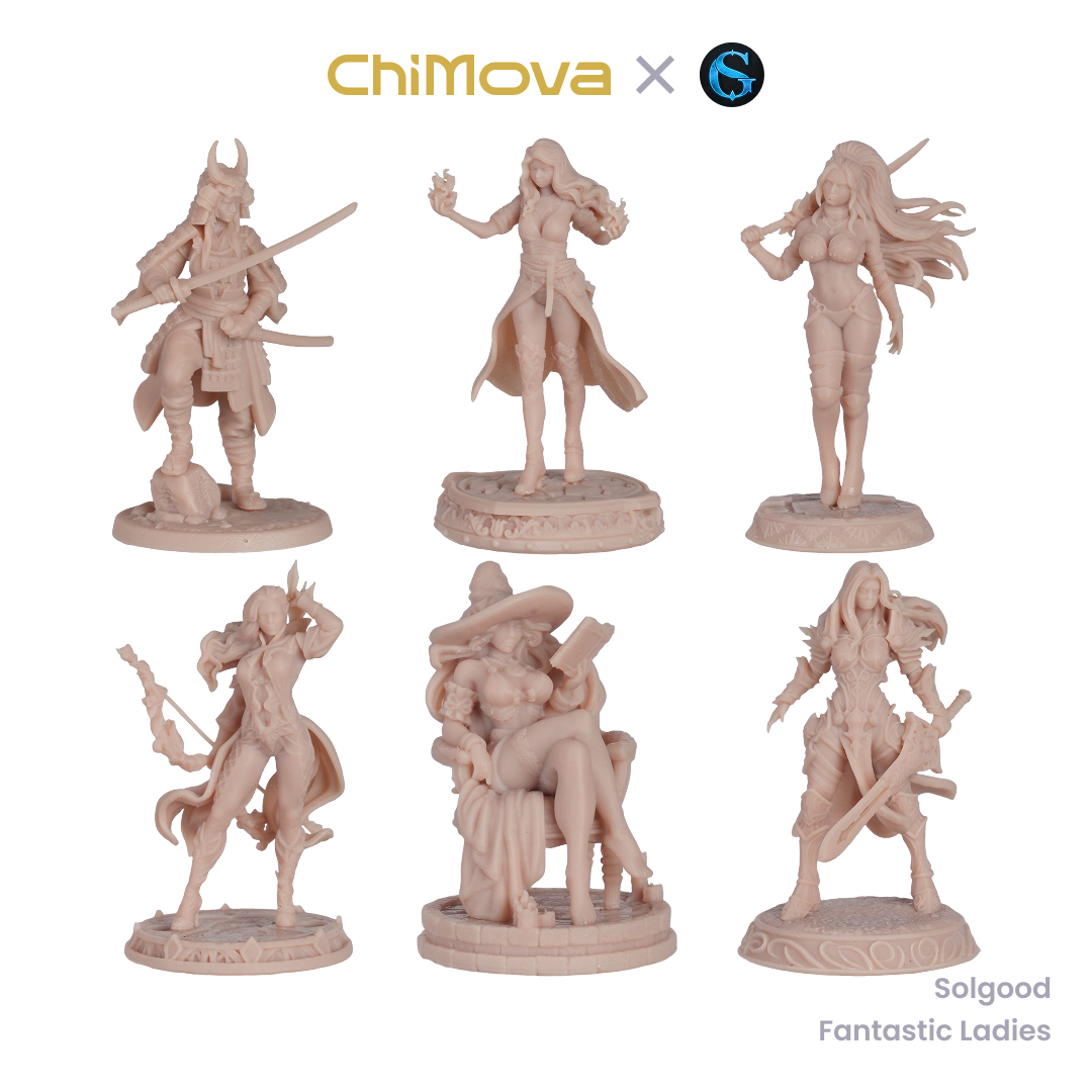 SolGood Creations Fantastic Ladies DND Pack unpainted 32mm dragon miniature for DND tabletop gaming and collectors, view 1