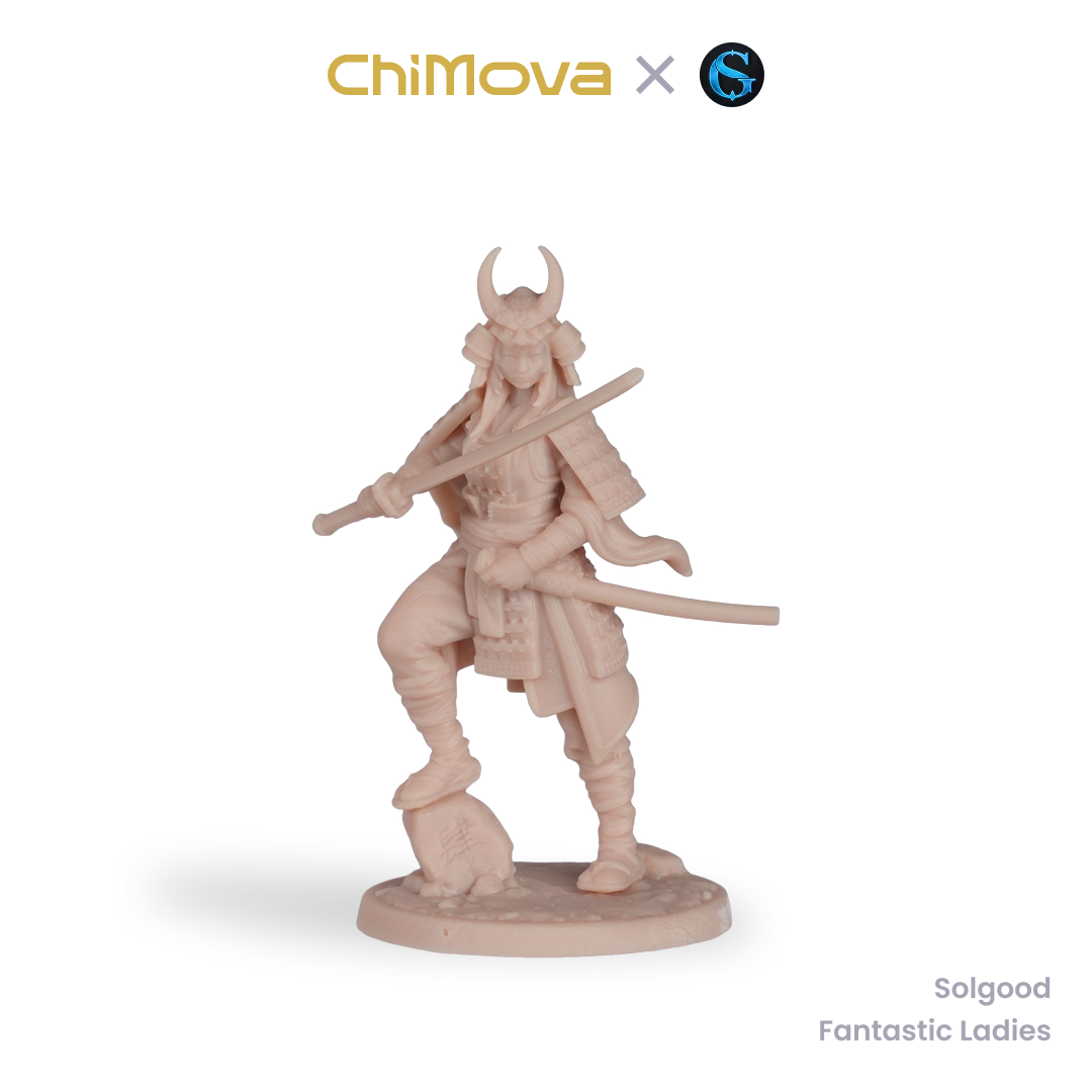 SolGood Creations Fantastic Ladies DND Pack unpainted 32mm dragon miniature for DND tabletop gaming and collectors, view 5