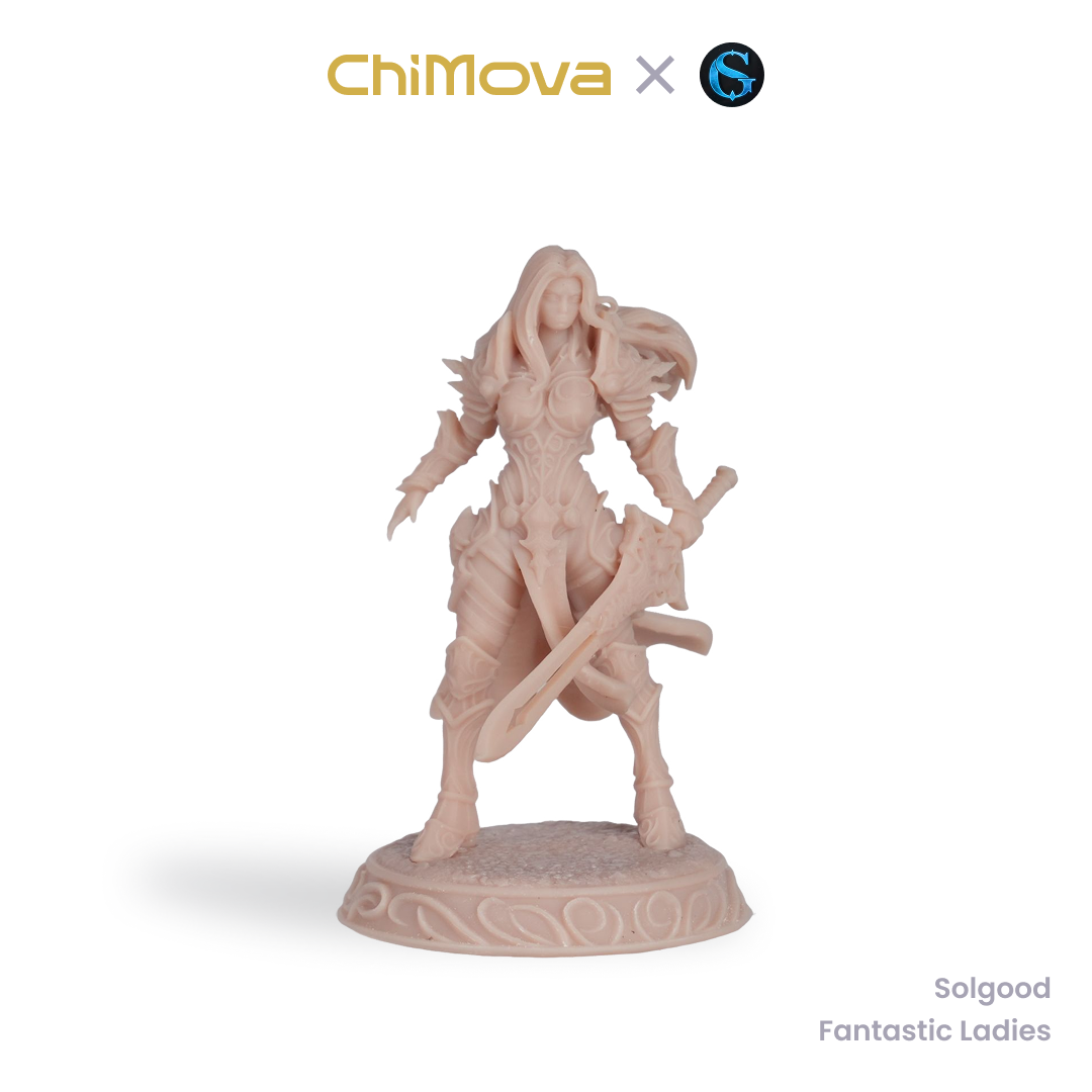 SolGood Creations Fantastic Ladies DND Pack unpainted 32mm dragon miniature for DND tabletop gaming and collectors, view 6