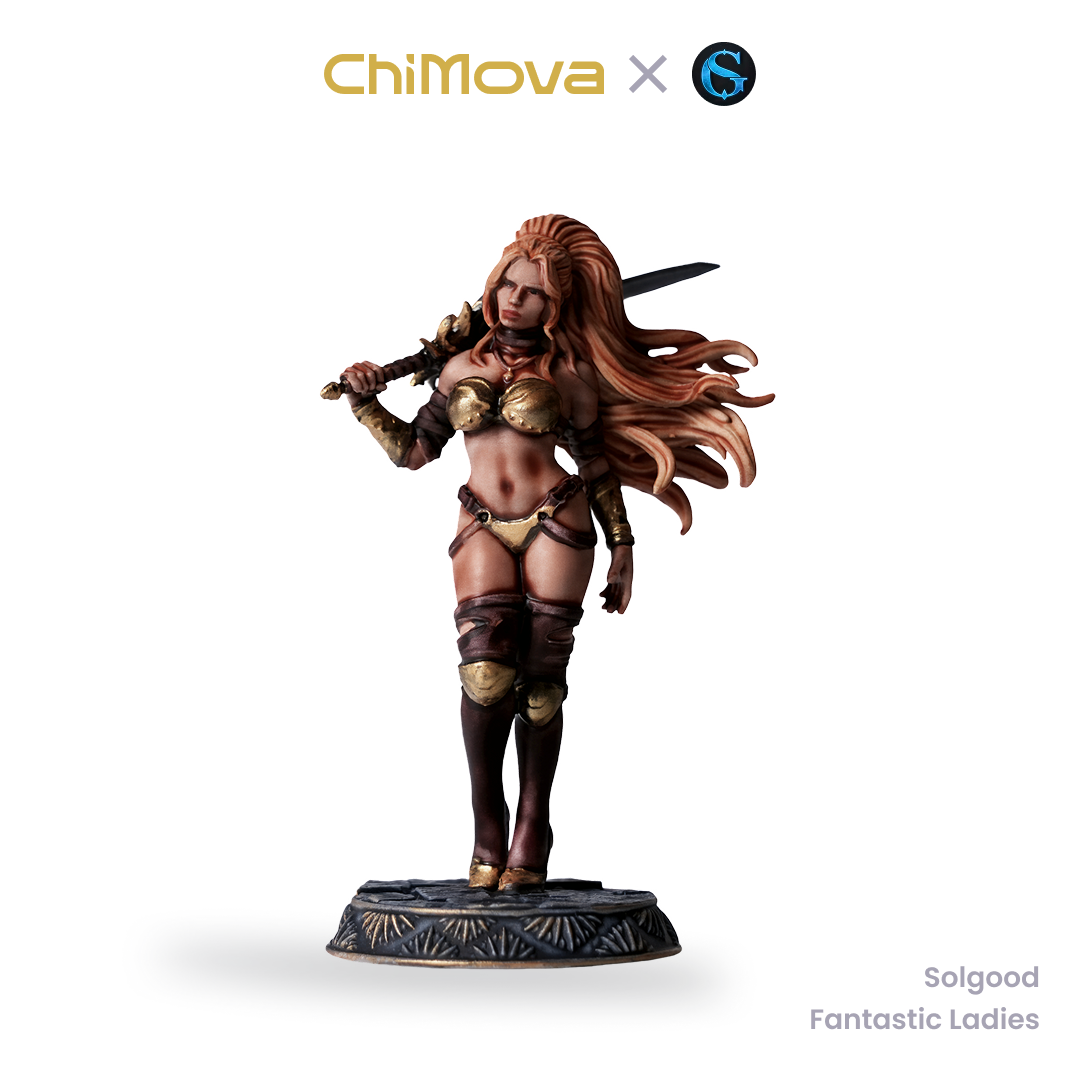 SolGood Creations Fantastic Ladies DND Pack hand painted 32mm resin miniature set for DND tabletop gaming and collectors, view 4