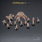 UNIT9: The Zero Ash Nomads