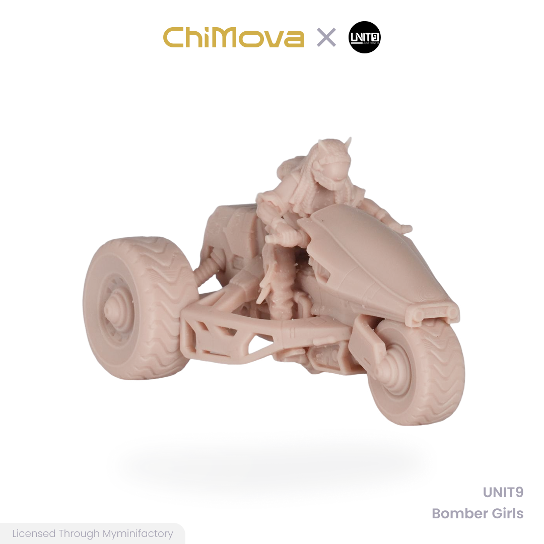 UNIT9 Bomber Girls unpainted 32mm resin miniature set for DND tabletop gaming and collectors, view 12