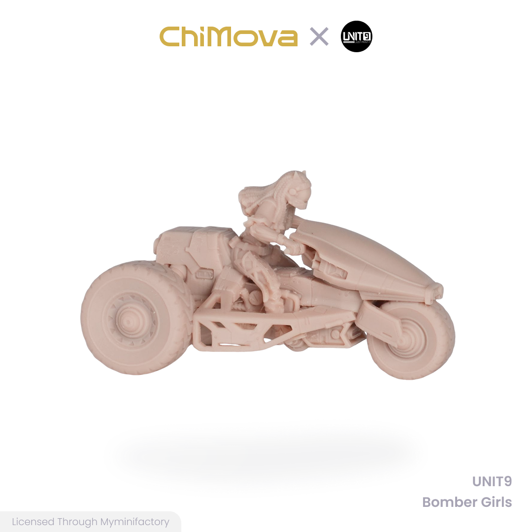 UNIT9 Bomber Girls unpainted 32mm resin miniature set for DND tabletop gaming and collectors, view 13