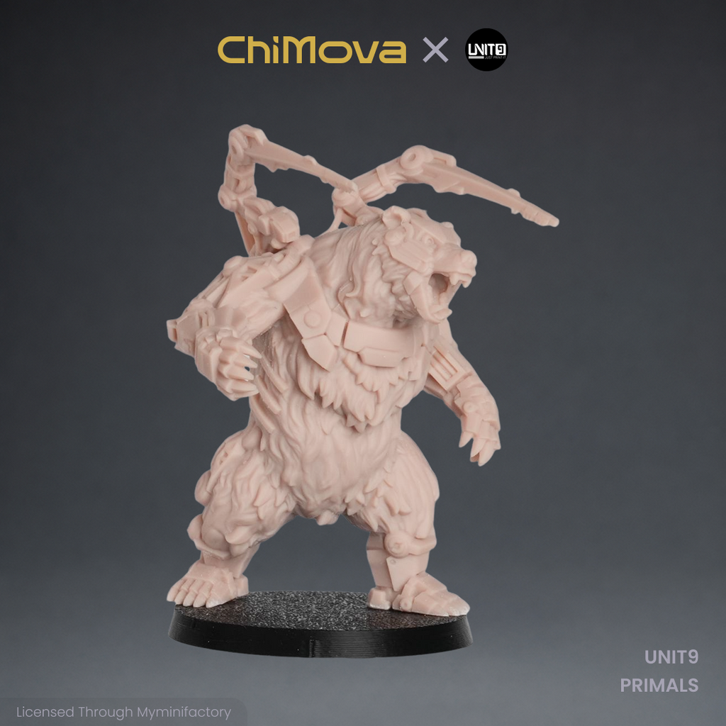 UNIT9: PRIMALS