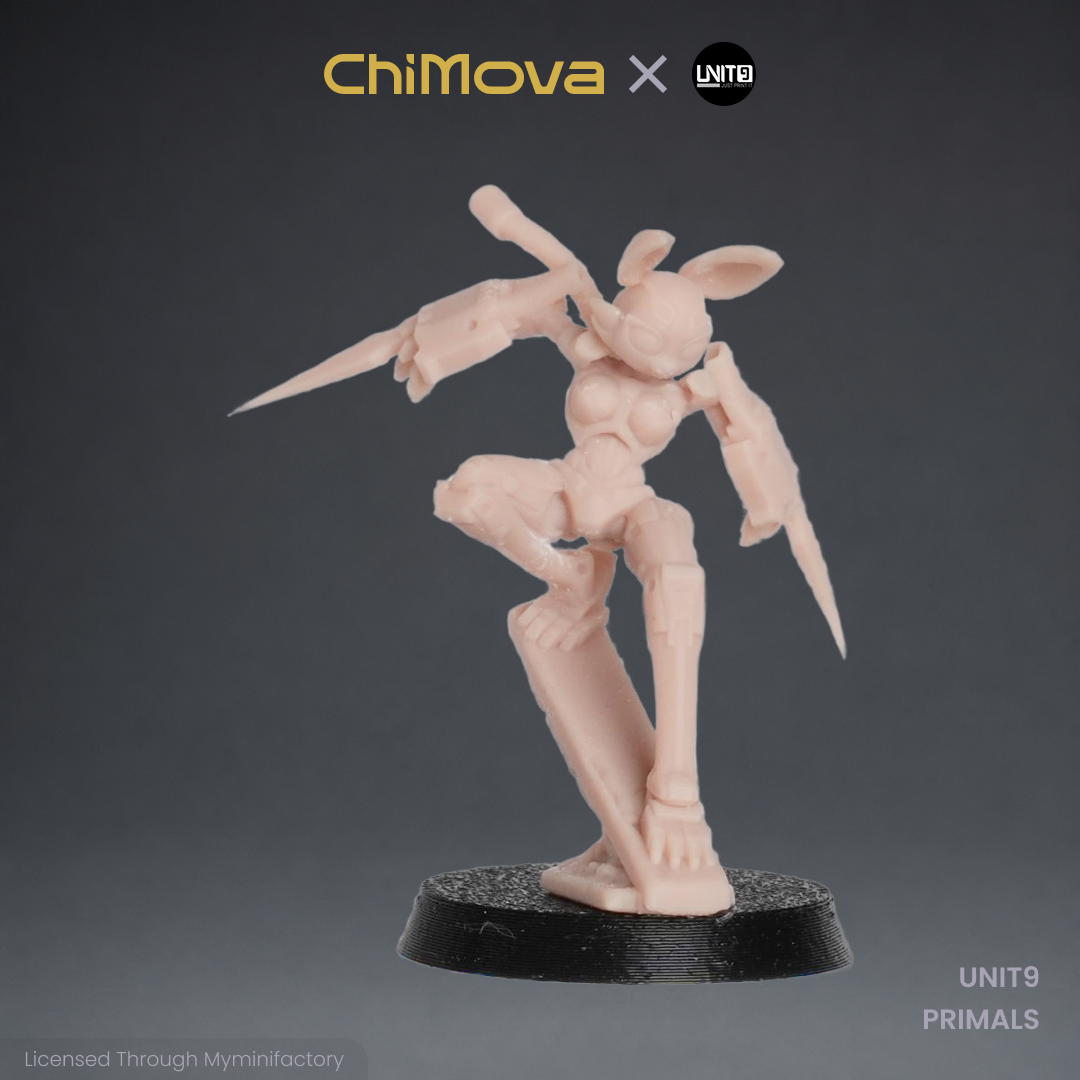 UNIT9: PRIMALS