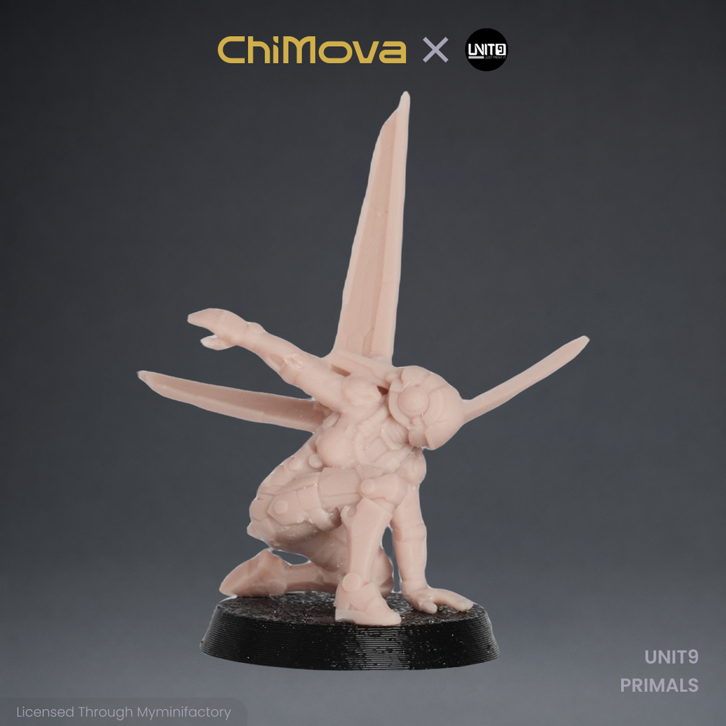 UNIT9: PRIMALS