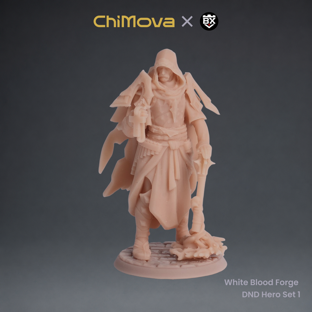 White Blood Forge: DND Hero Set 1