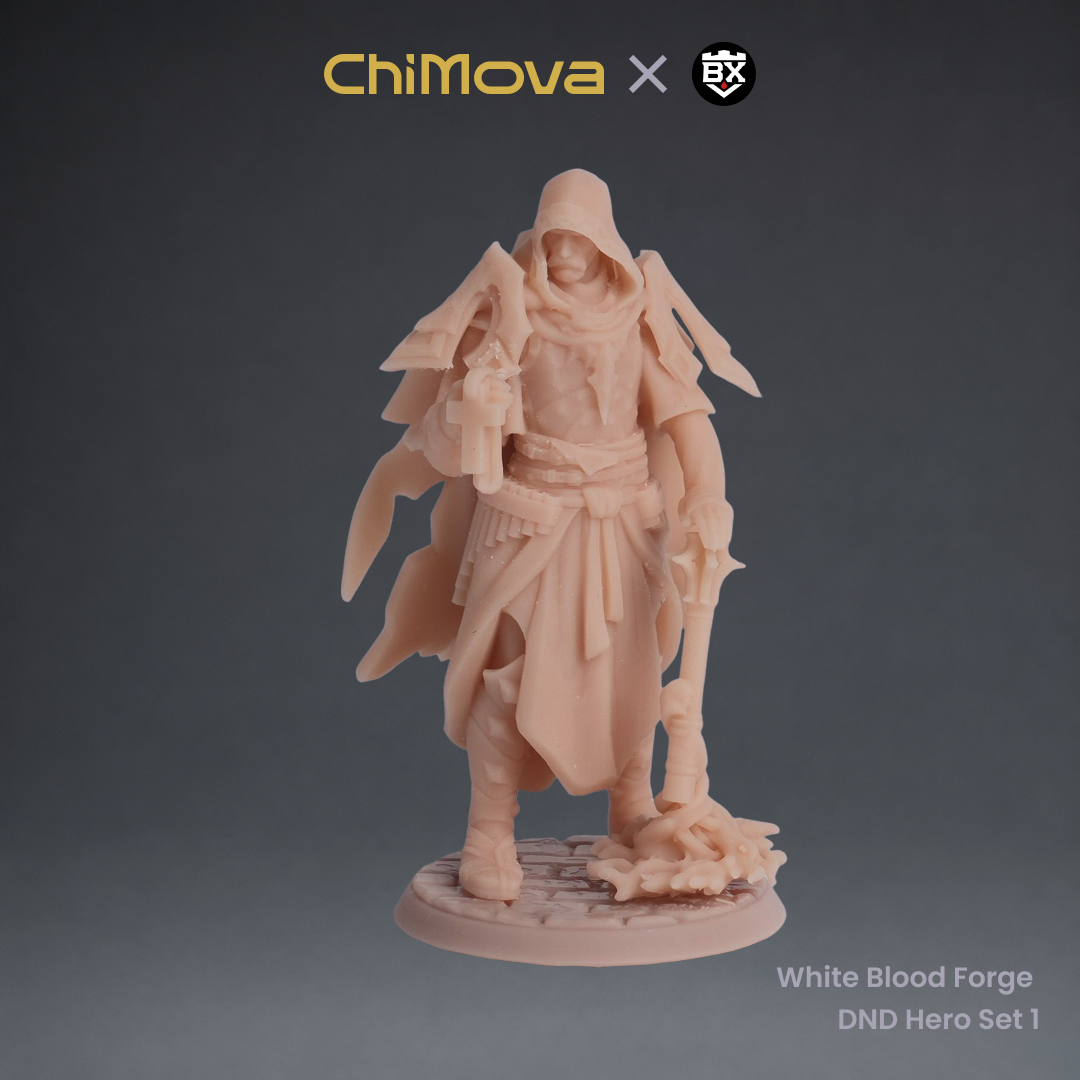 White Blood Forge: DND Hero Set 1