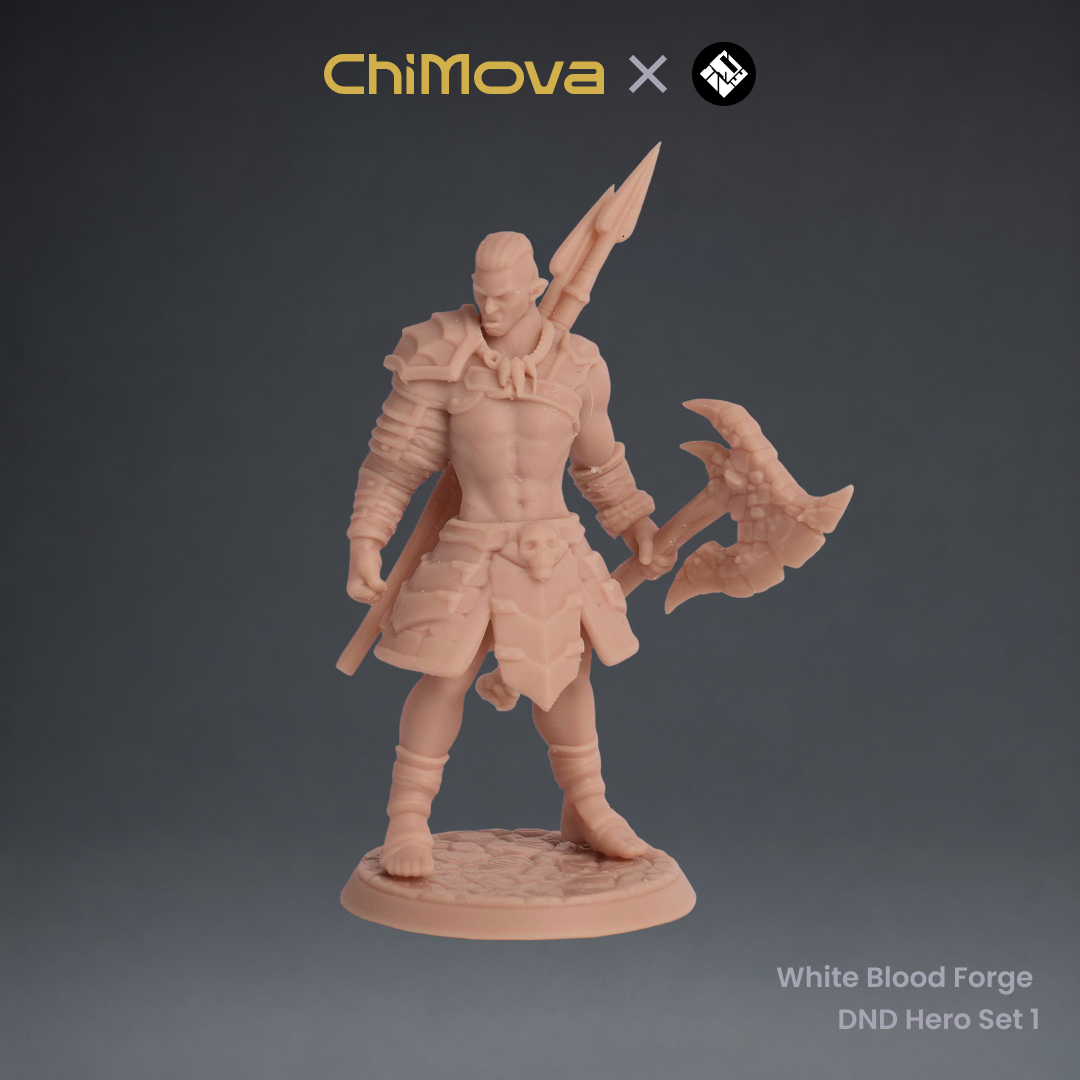 White Blood Forge: DND Hero Set 1