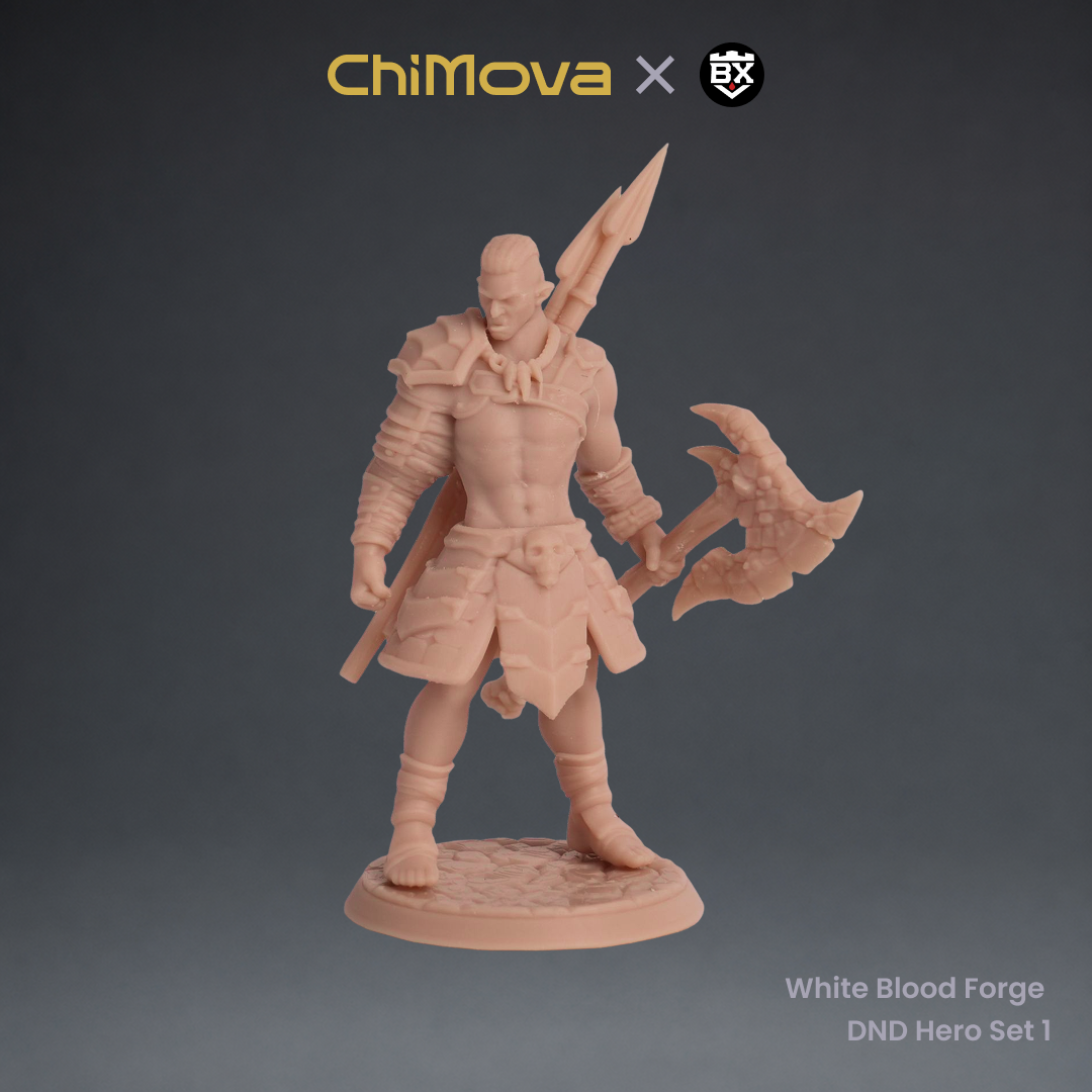 White Blood Forge: DND Hero Set 1