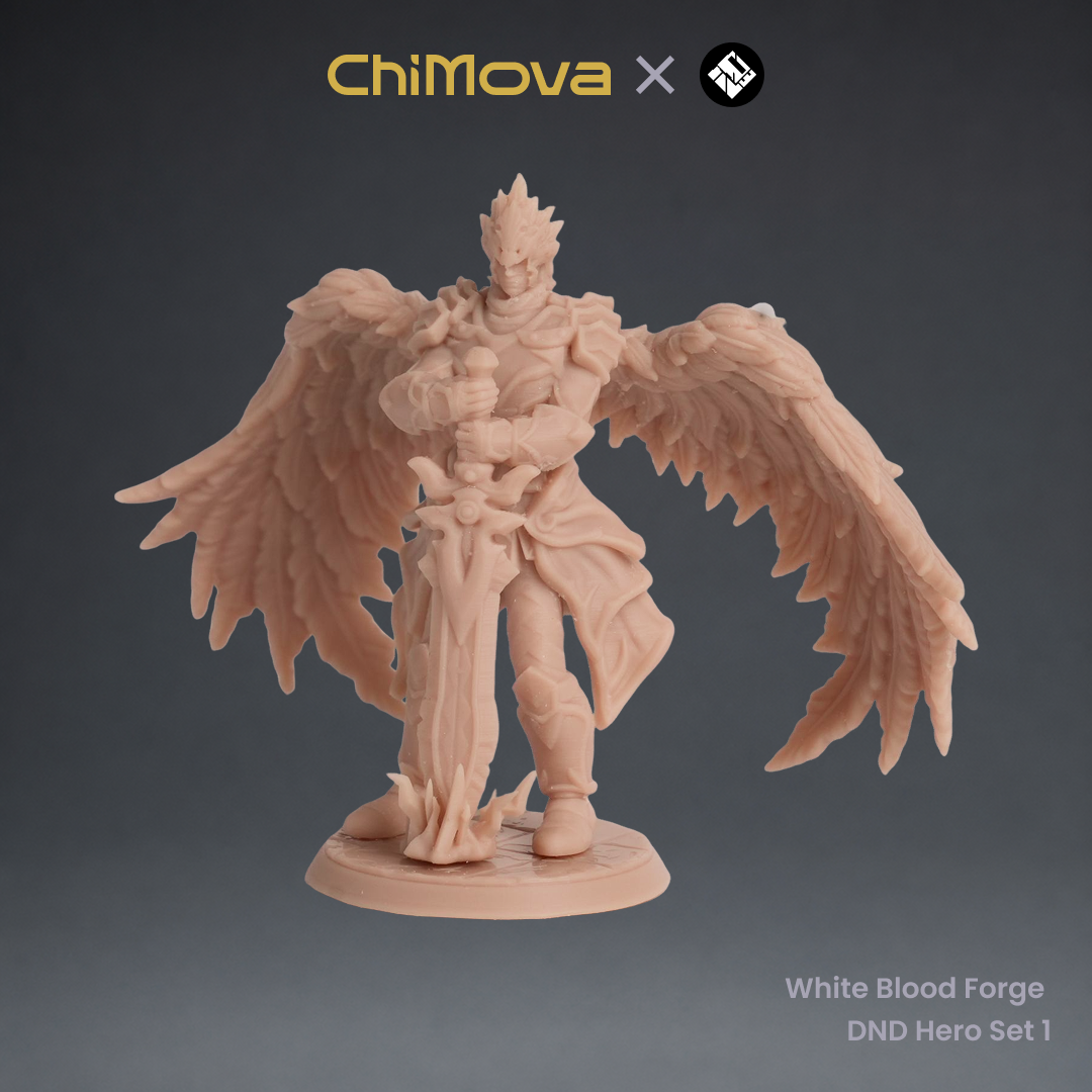 White Blood Forge: DND Hero Set 1
