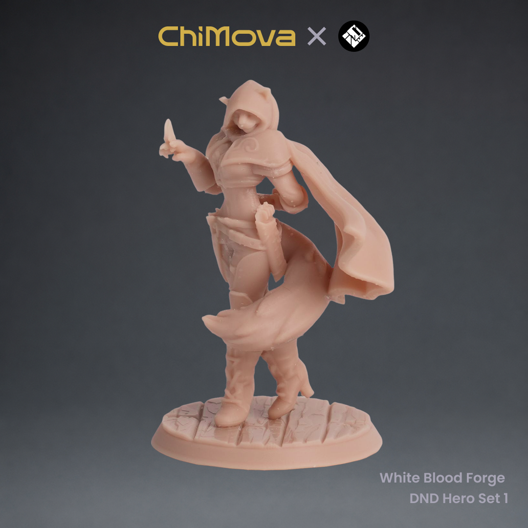 White Blood Forge: DND Hero Set 1