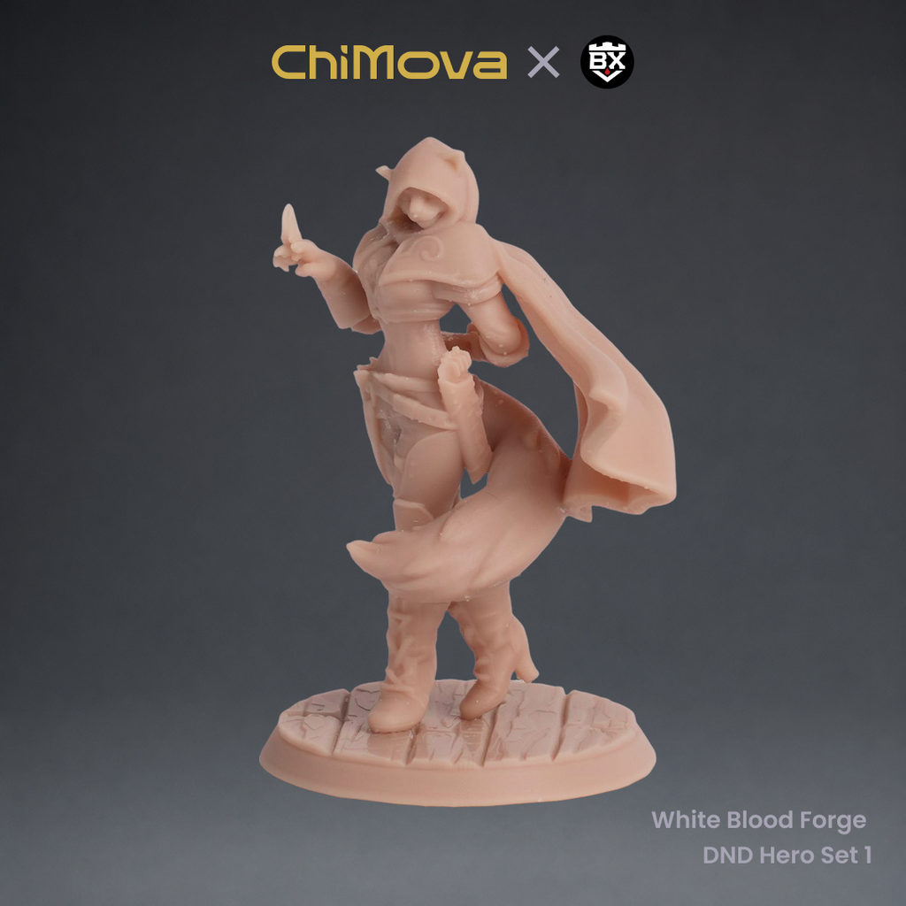 White Blood Forge: DND Hero Set 1