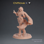 White Blood Forge: DND Hero Set 1