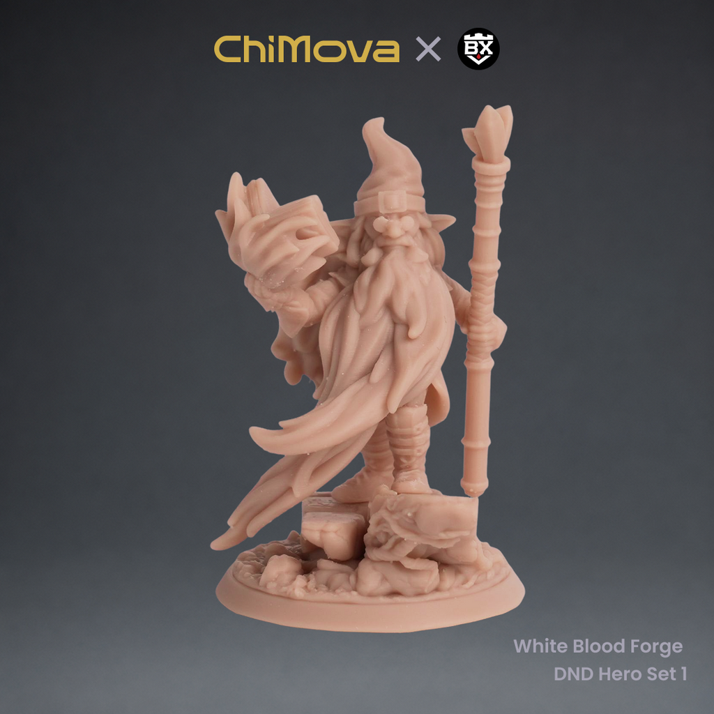 White Blood Forge: DND Hero Set 1