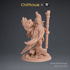 White Blood Forge: DND Hero Set 1