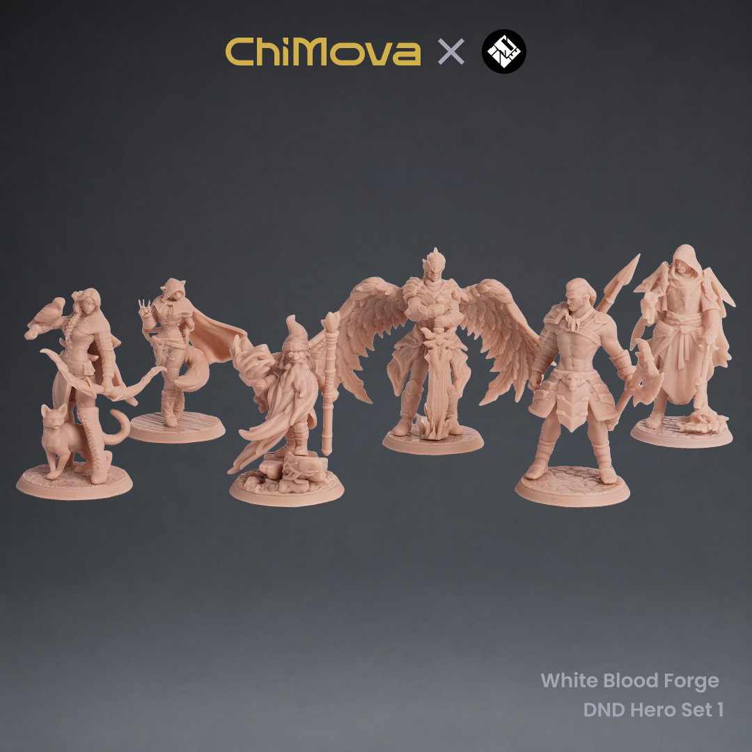 White Blood Forge: DND Hero Set 1