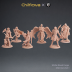 White Blood Forge: DND Hero Set 1