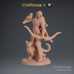 White Blood Forge: DND Hero Set 1