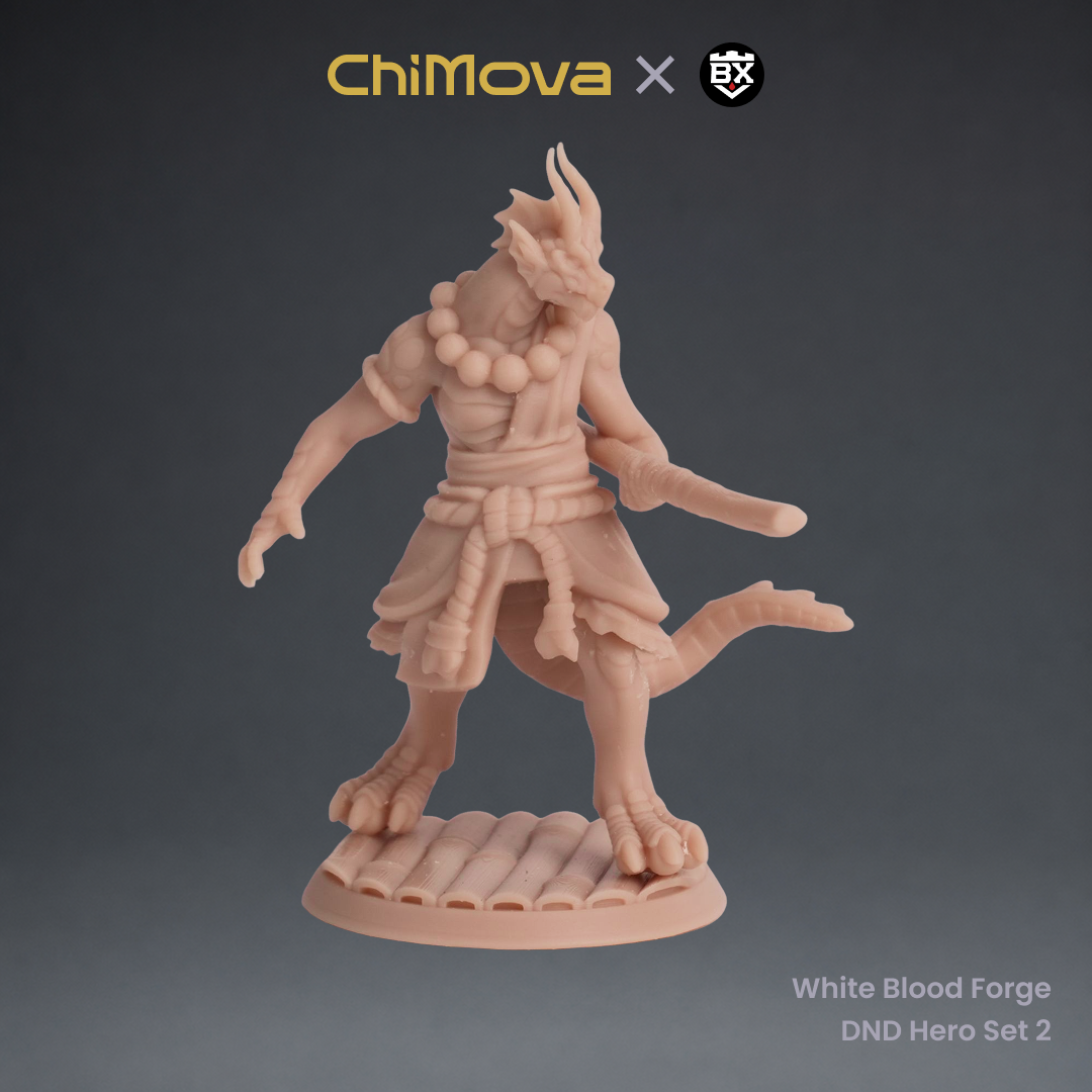 White Blood Forge: DND Hero Set 2