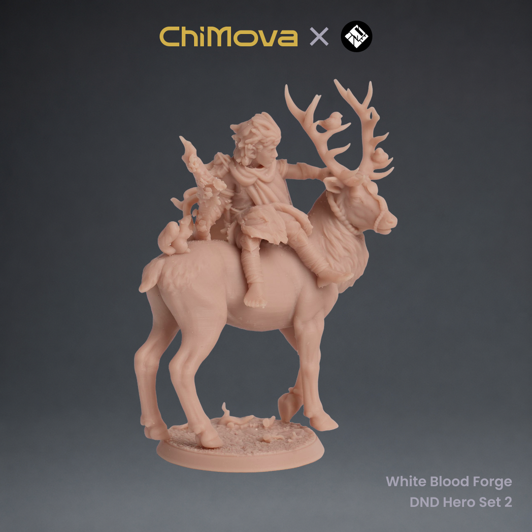 White Blood Forge: DND Hero Set 2