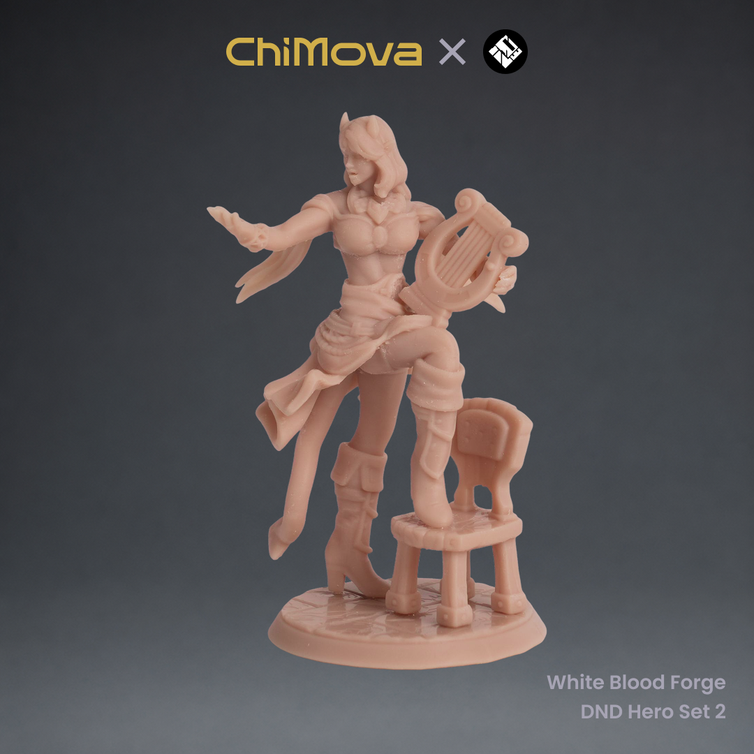White Blood Forge: DND Hero Set 2