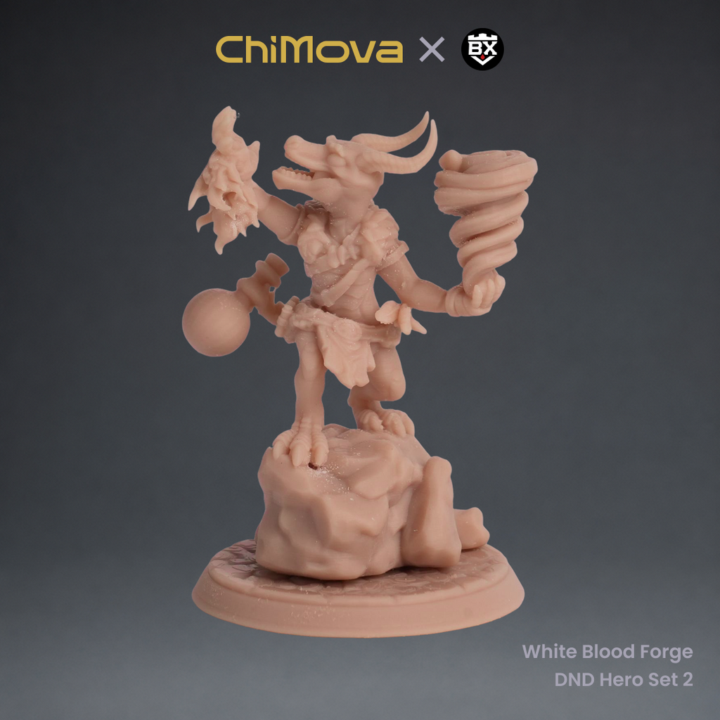 White Blood Forge: DND Hero Set 2