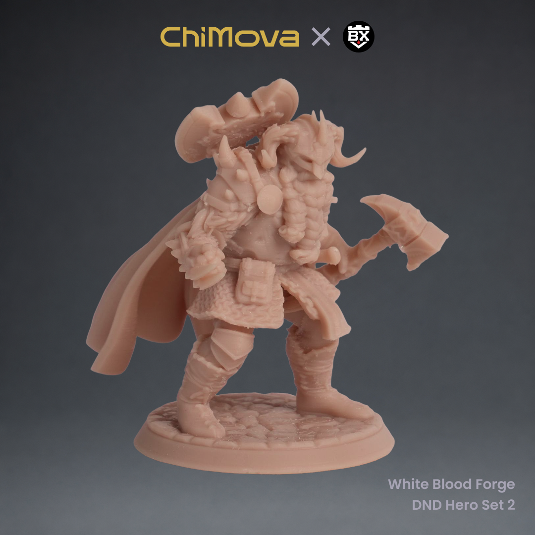 White Blood Forge: DND Hero Set 2
